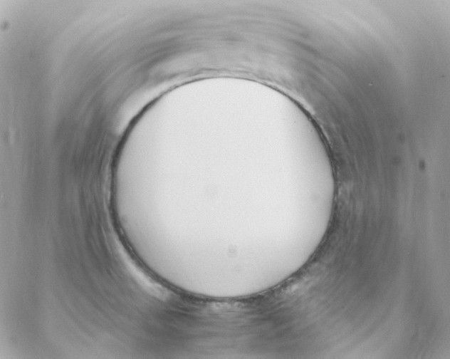 X0000088091523200706011551