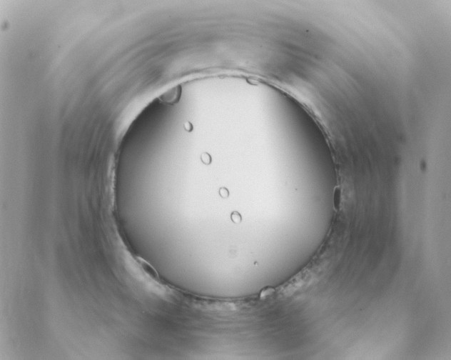 X0000088091524200706011551