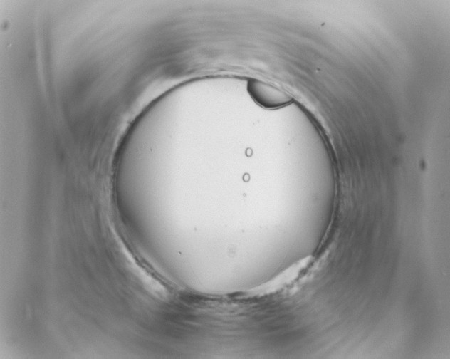 X0000088091525200706011551