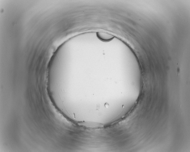 X0000088091526200706011551