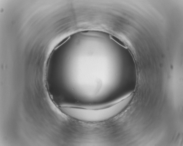 X0000088091528200706011551