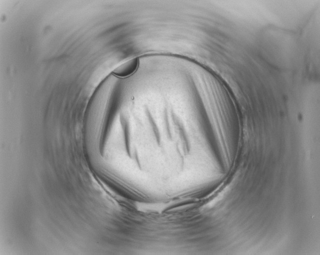 X0000088091529200706011551