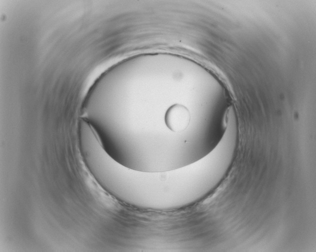 X0000088091530200706011551