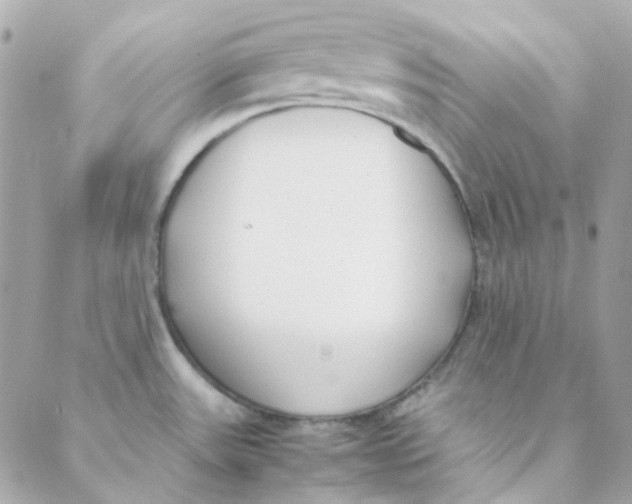 X0000088091531200706011551