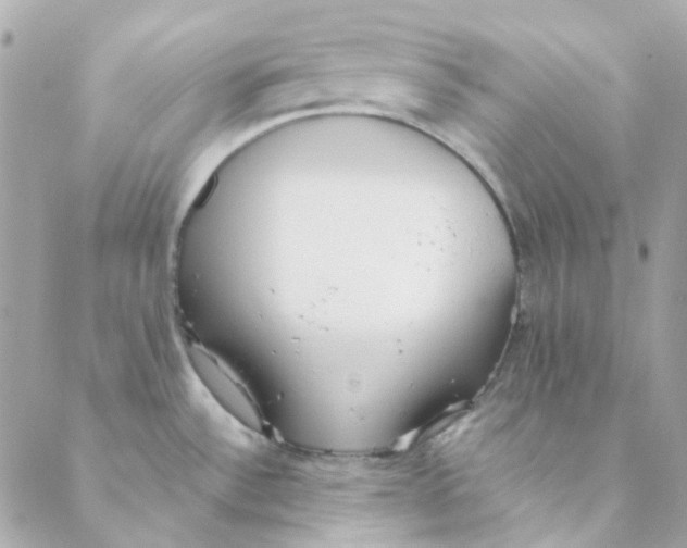 X0000088091532200706011551