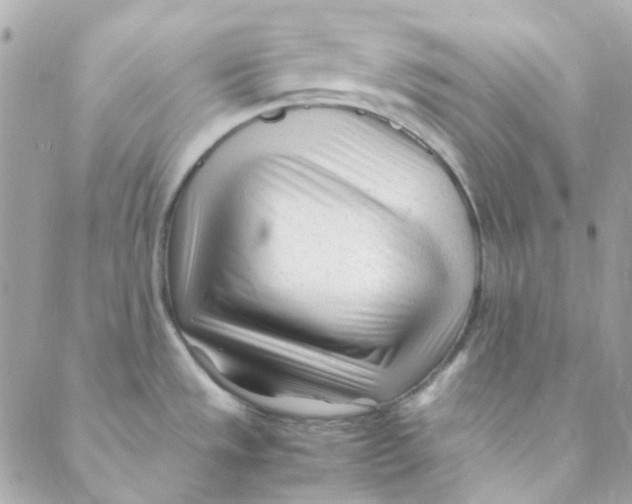 X0000088091533200706011551