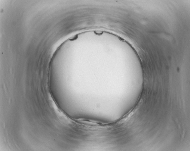 X0000088091534200706011551