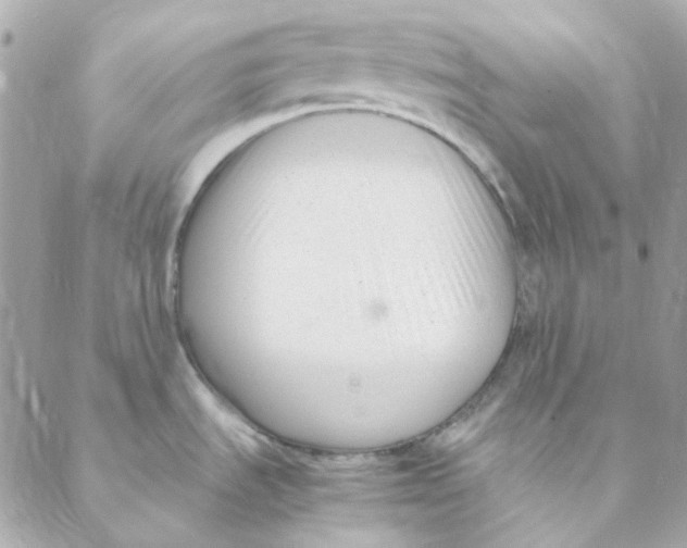 X0000088091535200706011551