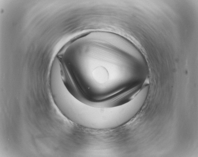 X0000088091536200706011551