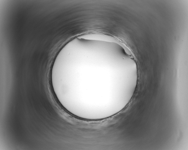 X0000088090001200706081759