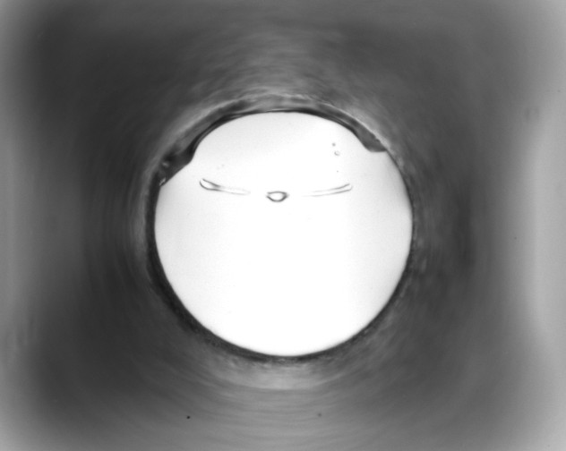 X0000088090008200706081759
