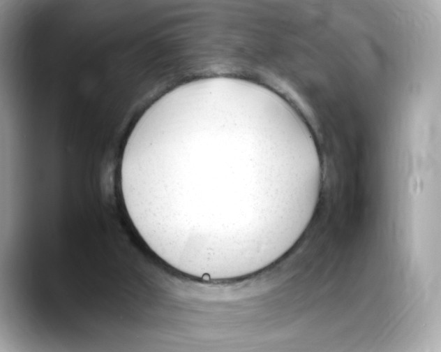 X0000088090010200706081759
