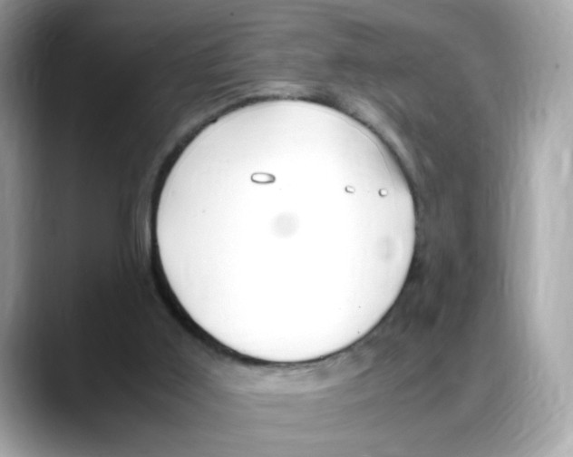 X0000088090011200706081759