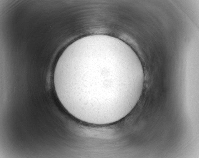 X0000088090012200706081759