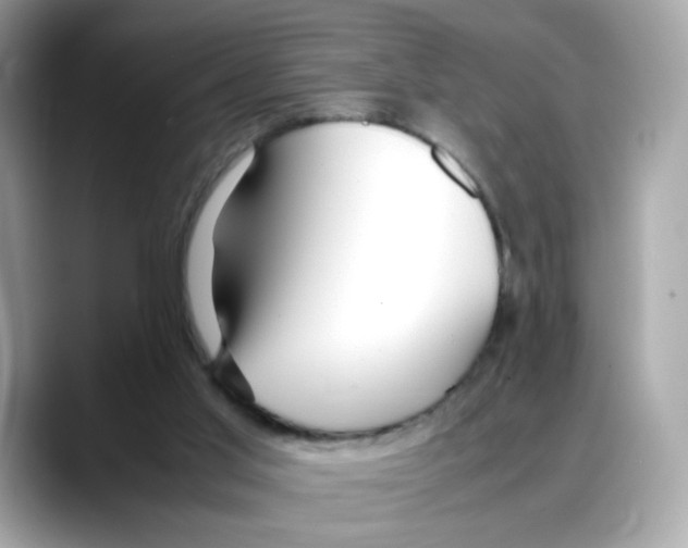 X0000088090013200706081759