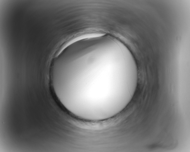 X0000088090015200706081759