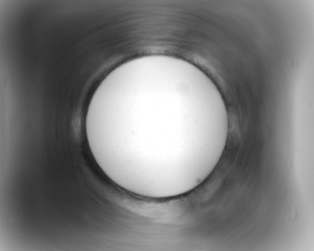 X0000088090016200706081759