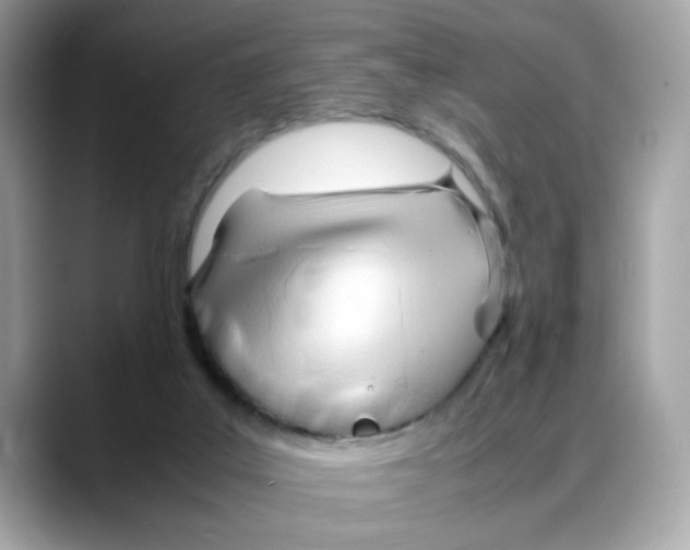 X0000088090019200706081759