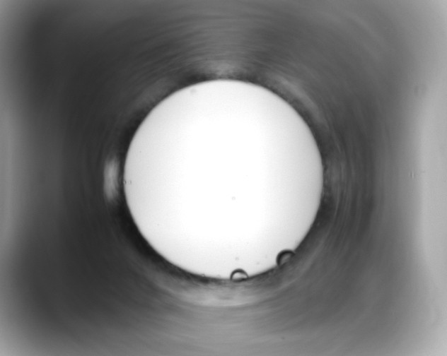 X0000088090024200706081759