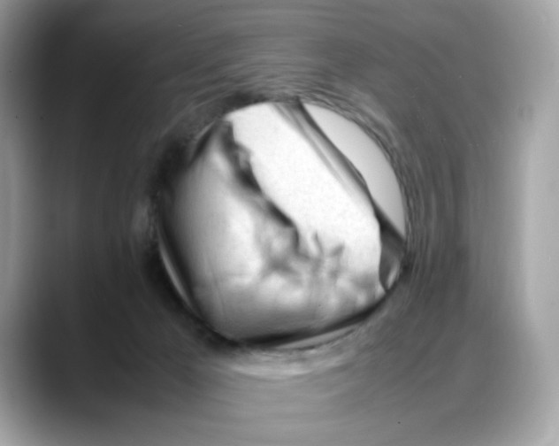 X0000088090029200706081759