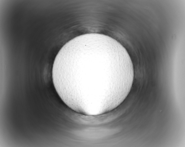 X0000088090030200706081759