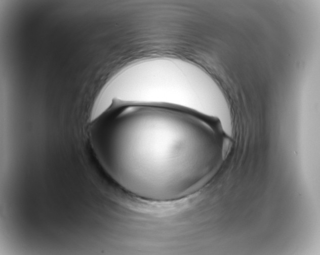 X0000088090031200706081759