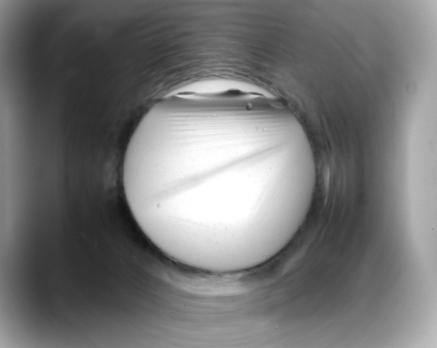 X0000088090032200706081759