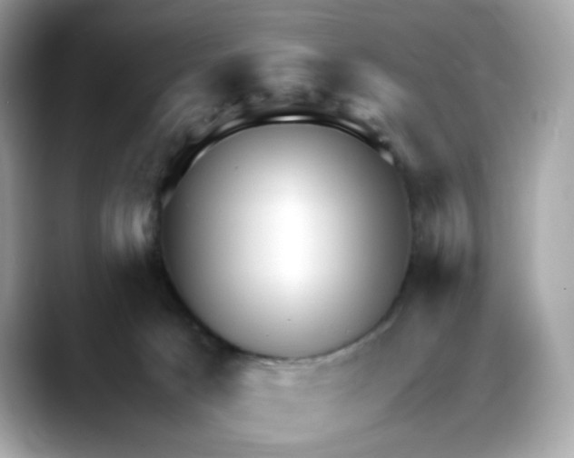 X0000088090033200706081759
