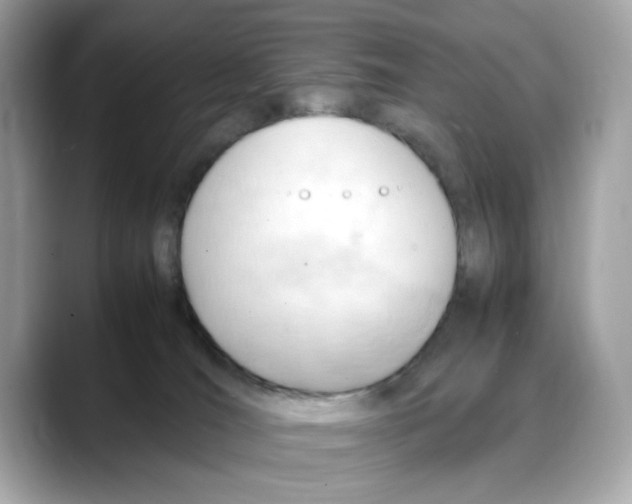 X0000088090036200706081759
