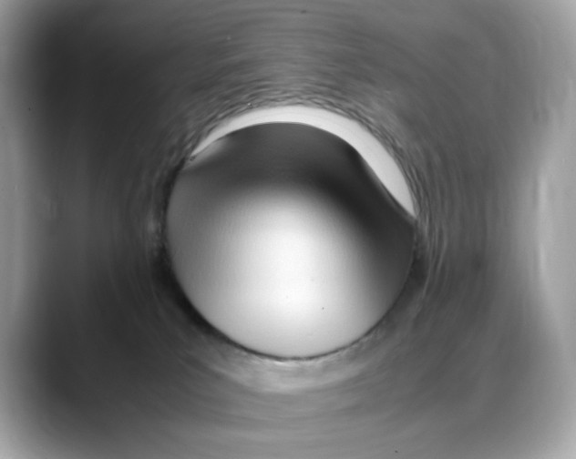 X0000088090039200706081759