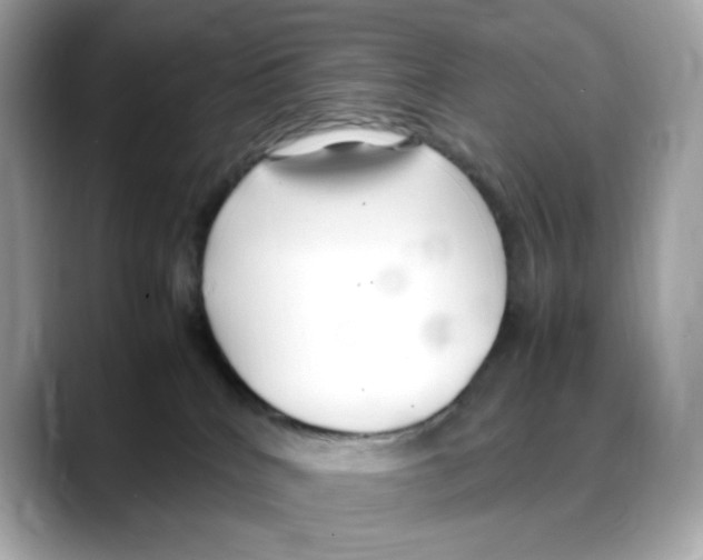 X0000088090040200706081759
