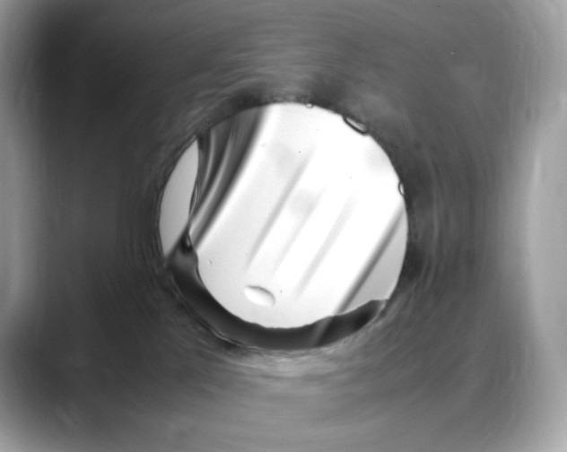 X0000088090041200706081759