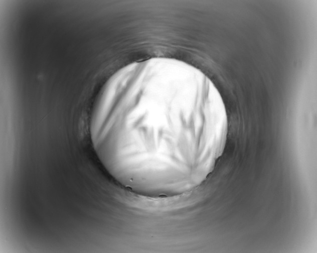X0000088090043200706081759