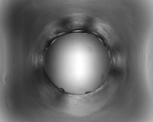 X0000088090045200706081759