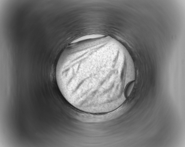 X0000088090048200706081759