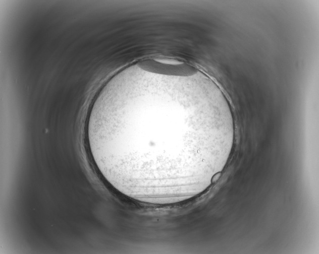X0000088090049200706081758