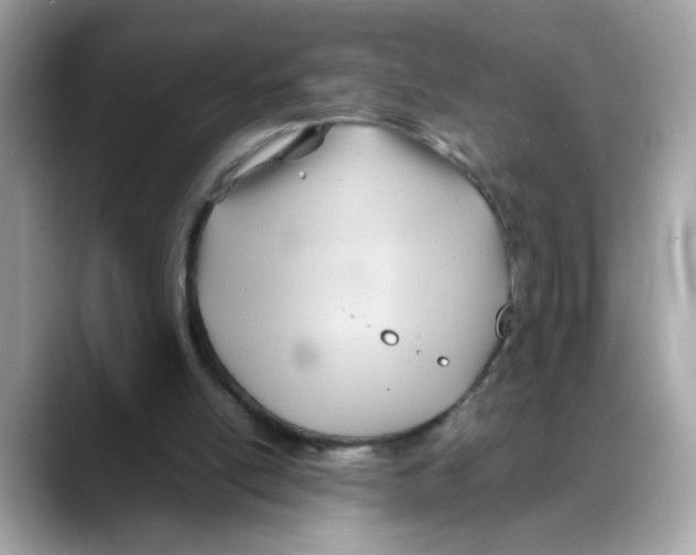 X0000088090054200706081758