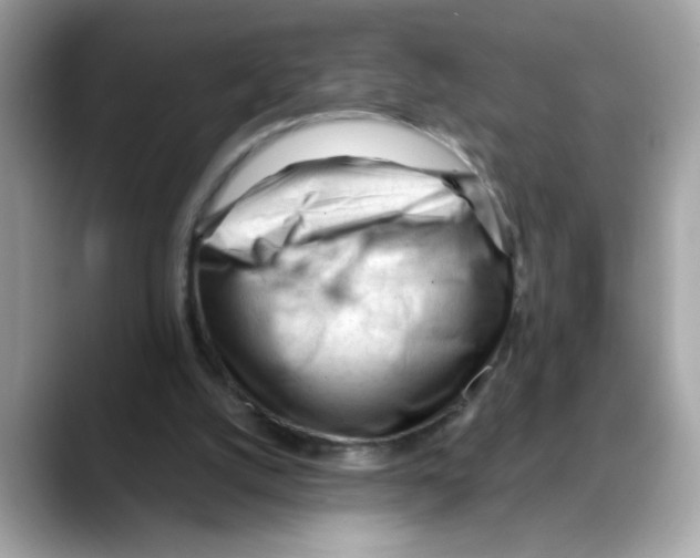 X0000088090056200706081758