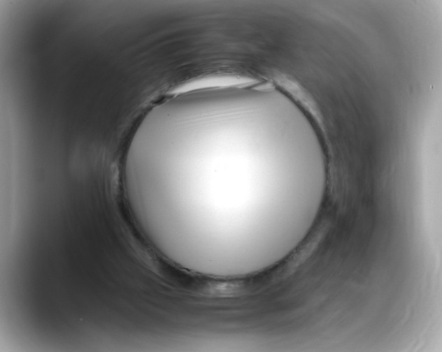 X0000088090057200706081758
