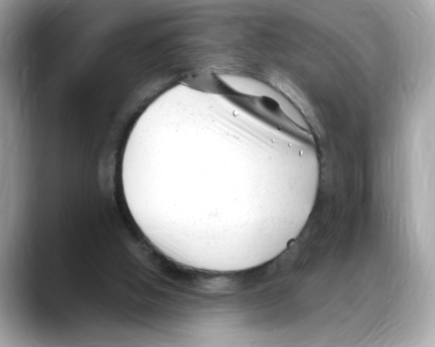 X0000088090058200706081758