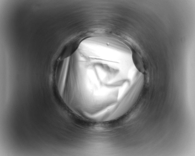 X0000088090064200706081758
