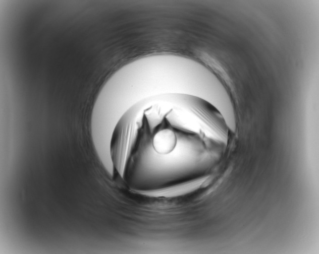 X0000088090065200706081758