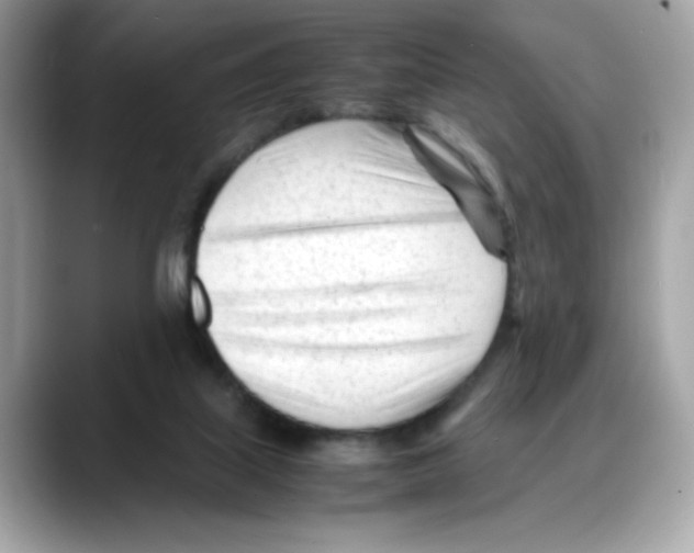 X0000088090067200706081758