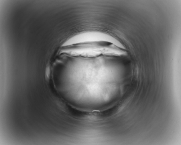 X0000088090076200706081758