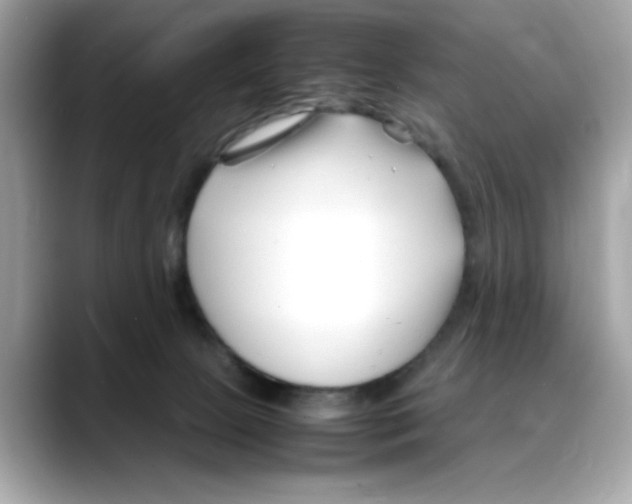 X0000088090081200706081758