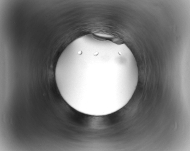 X0000088090085200706081758