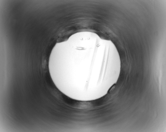 X0000088090087200706081758