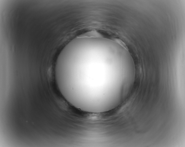 X0000088090088200706081758