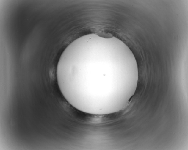 X0000088090090200706081759