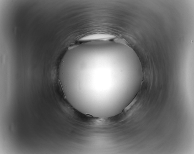 X0000088090092200706081759